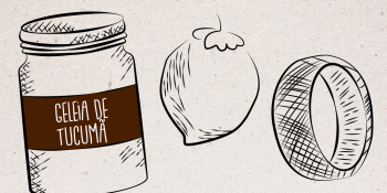 O reaproveitamento de alimentos como fonte sustentável de preservação do meio ambiente