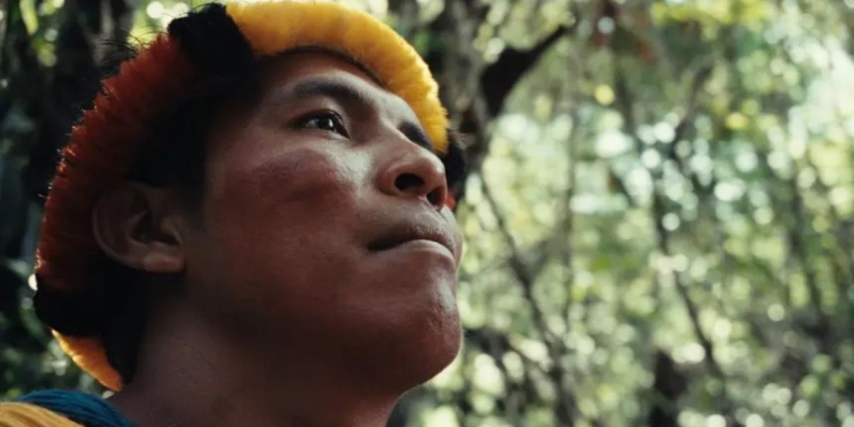 Mostra Ecofalante de Cinema