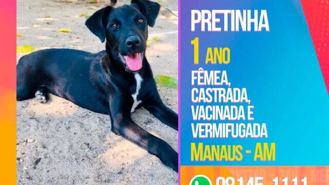 Participantes disponíveis para adoção (Foto: Reprodução/Instagram)